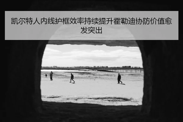 凯尔特人内线护框效率持续提升霍勒迪协防价值愈发突出